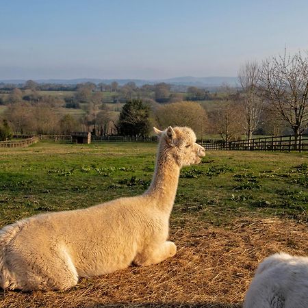 Denstone Charlie'S Cottage With Alpacas And 7Mins Drive To Alton Towers מראה חיצוני תמונה
